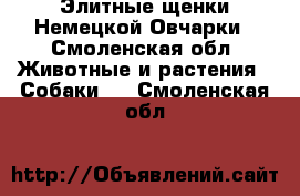Элитные щенки Немецкой Овчарки - Смоленская обл. Животные и растения » Собаки   . Смоленская обл.
